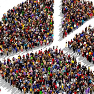 Как выбрать ПИФ в 2022 году? Паевые инвестиционные фонды, управляющие компании |