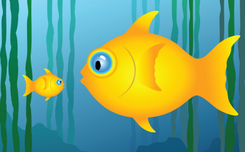 Участники финансового  рынка: крупные и мелкие игроки | 